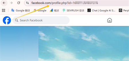 facebook profile link