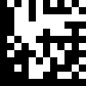 data matrix 12 12